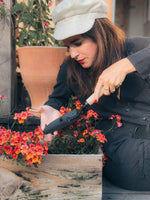 Fill Your Garden with Vibrant Fall Flowers - by Benson - Swedish Design