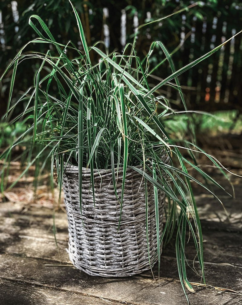 Basket. - by Benson - Swedish Design