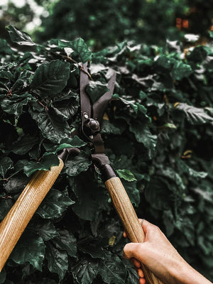 Hedge Shears Deluxe. - by Benson - Swedish Design